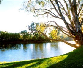 Albury - Murray River Precinct - Australia Accommodation 0