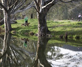 Albury - Murray River Precinct - Australia Accommodation 3