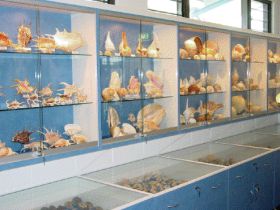 Shell World Yeppoon - Australia Accommodation 1
