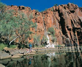 Python Pool - Australia Accommodation 0