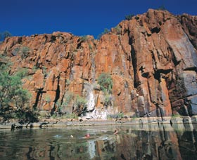 Python Pool - Australia Accommodation 1