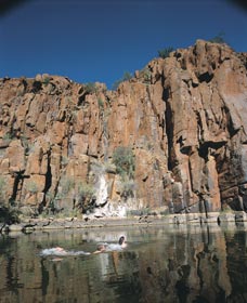 Python Pool - Australia Accommodation 3