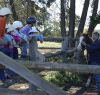 Harlow Park Horse Riding - Australia Accommodation