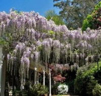 Nooroo Gardens - Australia Accommodation