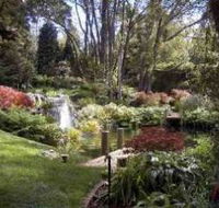Windyridge Garden Mount Wilson - Australia Accommodation