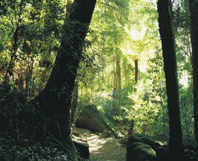 Blue Mountains National Park - Australia Accommodation 5