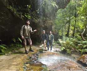 Blue Mountains National Park - Australia Accommodation 3