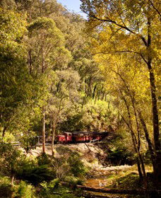 Walhalla Goldfields Railway - Australia Accommodation 3
