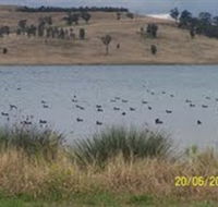 Lake Liddell Recreation Area - Australia Accommodation