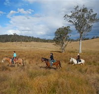 Chapman Valley Horse Riding - Australia Accommodation