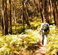 Federal Pass - Australia Accommodation