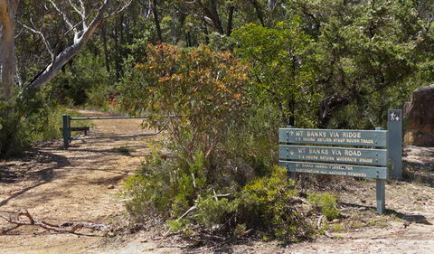 Mount Banks Road Cycle Route - Australia Accommodation 1