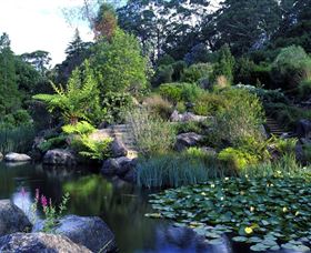 Blue Mountains Botanic Garden - Australia Accommodation 1