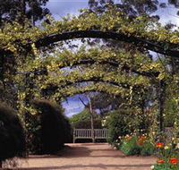 Blue Mountains Botanic Garden - Australia Accommodation
