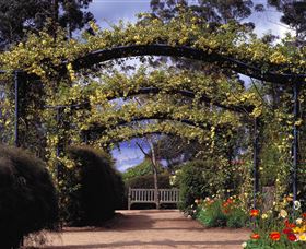 Blue Mountains Botanic Garden - Australia Accommodation 0