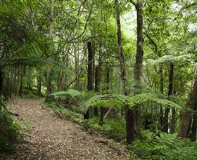 Blue Mountains Botanic Garden - Australia Accommodation 3