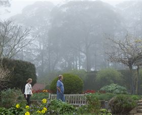 Blue Mountains Botanic Garden - Australia Accommodation 6