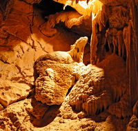 Fig Tree Cave - Australia Accommodation