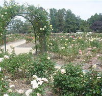 Victoria Park Rose Garden - Australia Accommodation