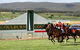 Goulburn And District Racing Club - thumb 0
