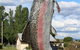 Big Trout - thumb 0
