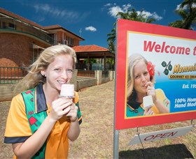 Mammino Gourmet Ice Cream - Australia Accommodation 3