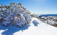 Perisher - thumb 3