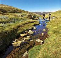 Australian Alps Walking Track - Australia Accommodation