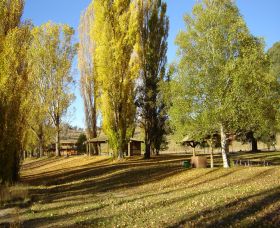 Gaden Trout Hatchery - Australia Accommodation 1