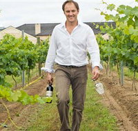 Margan Hunter Valley Wines and Restaurant - Australia Accommodation