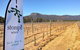 Stomp! Wines - thumb 0