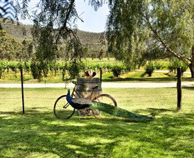 Stomp! Wines - Australia Accommodation 3