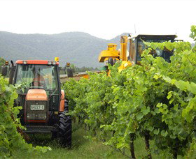 Stomp! Wines - Australia Accommodation 8