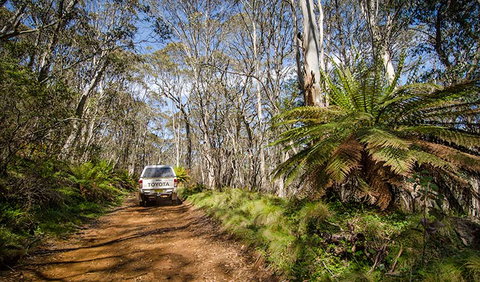 Barrington Trail - Australia Accommodation 0