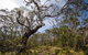 Barrington Trail - thumb 1