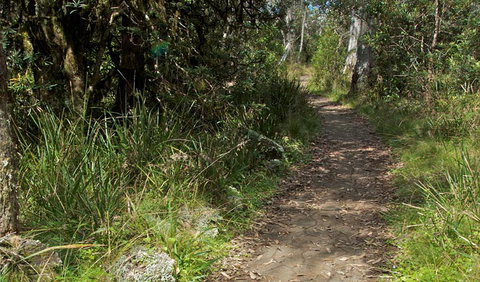 Devils Hole Lookout Walk And Picnic Area - Australia Accommodation 2