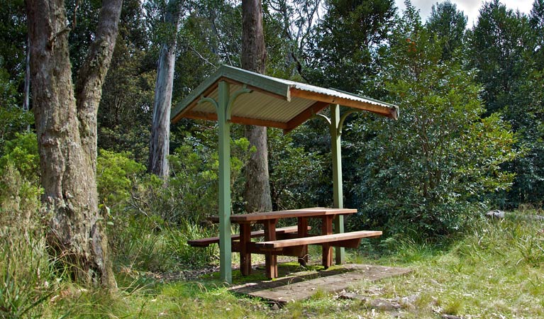 Bindera NSW Australia Accommodation