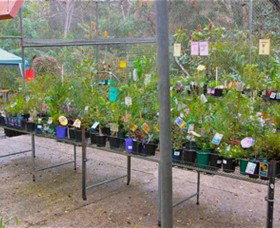 Glenbrook Native Plant Reserve And Nursery - Australia Accommodation 3