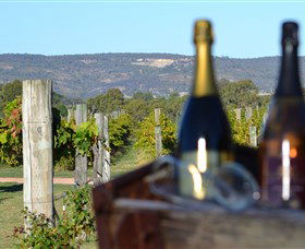 Ugly Duckling Wines - Australia Accommodation 1