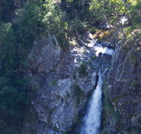 Lyrebird Falls walking track - Australia Accommodation
