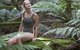 Barrington Tops National Park - Honeysuckle Forest Track - thumb 0