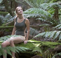 Barrington Tops National Park - Honeysuckle Forest Track - Australia Accommodation