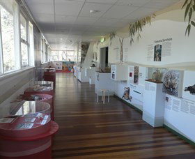 Kanyana Wildlife Rehabilitation Centre - Australia Accommodation 1