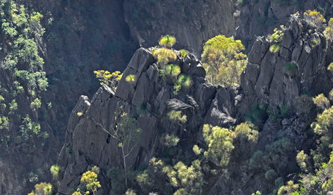 Bungonia National Park - Australia Accommodation 2