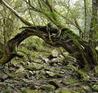Mitchell River National Park - Australia Accommodation