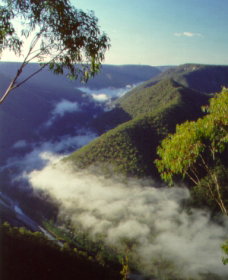Long Point Lookout - Australia Accommodation 0
