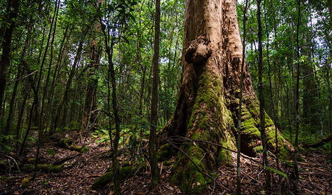 Rocky Crossing Walk - Australia Accommodation 1