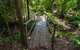 Rocky Crossing Walk - thumb 2