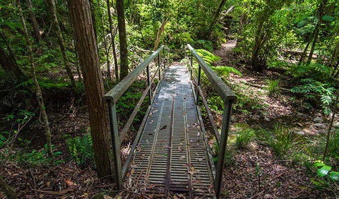 Rocky Crossing Walk - Australia Accommodation 2