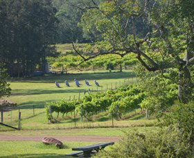 Wollombi Wines - Australia Accommodation 8